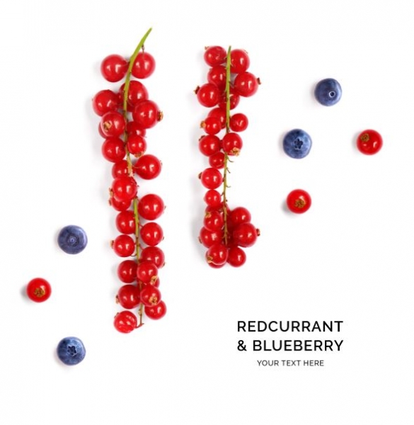 40 REDCURRANT 2