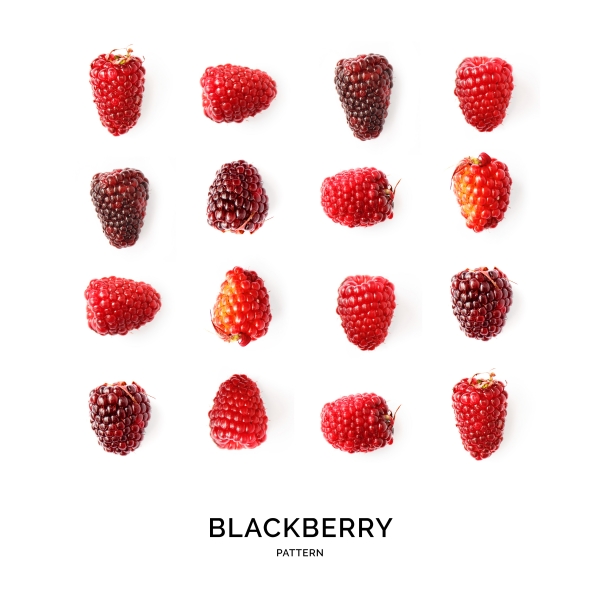 4 BALCKBERRY